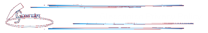 Glassnoise Privacy Policy   